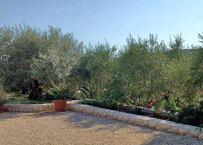 Renovated Cozy Palit